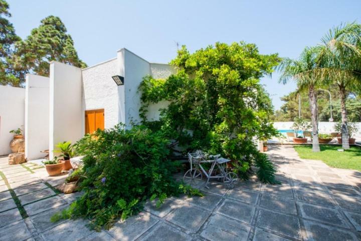 סן ויטו לו קאפו Villa Cancelliere מראה חיצוני תמונה